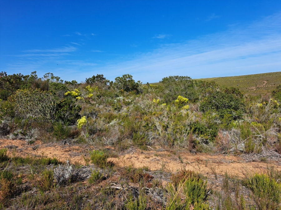 10 Bedroom Property for Sale in Stilbaai Rural Western Cape